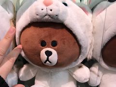 -line friends(明洞旗舰店)