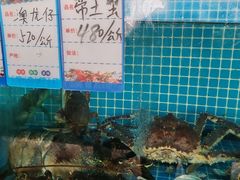 -南庄酒家·海鲜粤菜·25年老字号(环城南路店)
