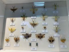 -国家自然博物馆