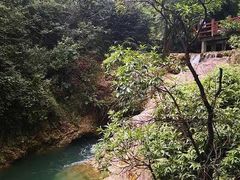 -南海湾森林生态园