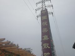 -茯茶镇