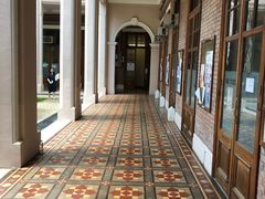 -香港大学