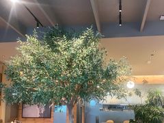 -Wagas沃歌斯(信泰中心商场店)