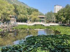 -五泉山公园