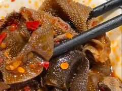 -董记老清泉·鲜切涮羊肉(窑岭店)