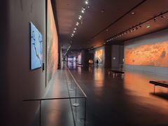 -罗红摄影艺术馆