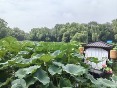 -北陵公园