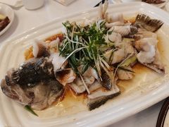 鲈鱼-朱仔记食府(江南大道店)