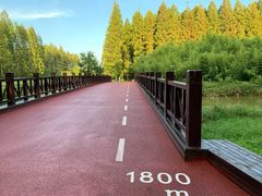 -黄海国家森林公园