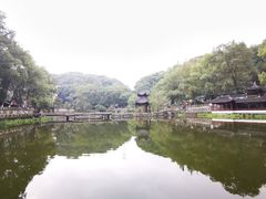 -忠山公园