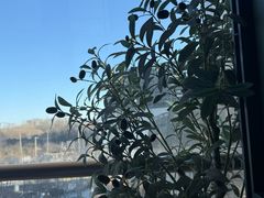 -章记星洲 · 新加坡餐厅(望京店)