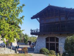 -大唐贡茶院