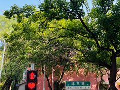 -油旋张(大观园店)