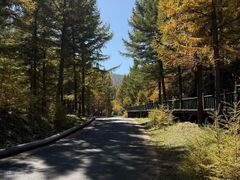 -苏木山森林公园