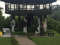 -瑞穗牧场