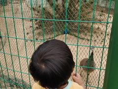 -武汉紫薇都市田园