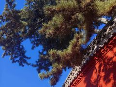 -五台山风景名胜区