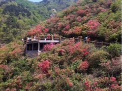 -木兰云雾山