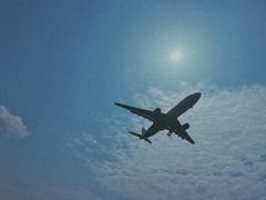 -空港花田景区