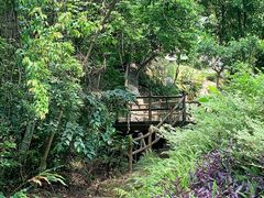 -南丹山森林王国