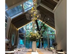 -春树下·树屋花房西餐厅(罍街AS1980店)