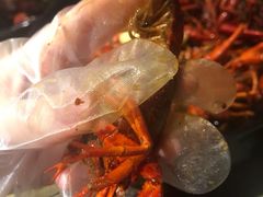 -红钳侠小龙虾·烧烤(中赢康康谷店)