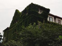 -溧阳路经典老洋房