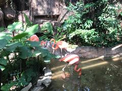 -长鹿旅游休博园