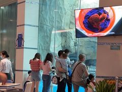 -帝企鹅自助餐厅•儿童岛•真企鹅(长隆企鹅酒店)