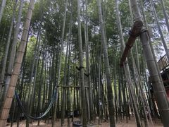 -陶祖圣境风景区