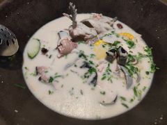 -鲜潭蒸汽石锅鱼(五道口购物中心店)