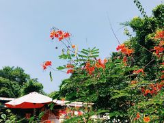 -南丫岛