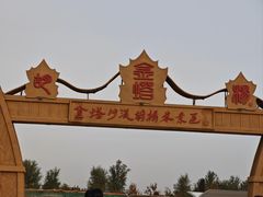 -金塔沙漠胡杨林景区