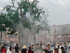 -西双版纳傣族园