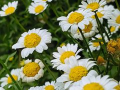 -山东省千佛山医院