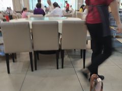 大堂-點無缺茶楼·海鲜酒家(世博店)