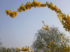 -源香斋糕点(天津店)