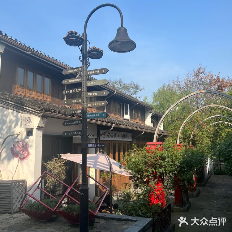 木香花开一点不输其他春日使者