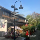 木香花开一点不输其他春日使者