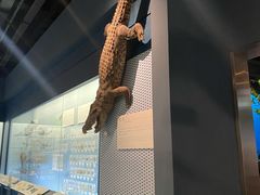 -浙江自然博物院(杭州馆)