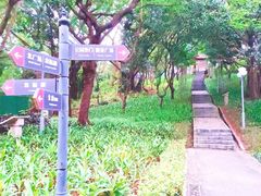 -深圳龙潭公园