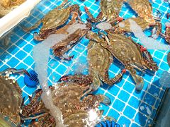 -喜来酌海鲜·饺子(和平一店)