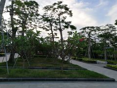 -芒洲湿地公园