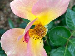 -UNI UNI(环亚凯瑟琳店)