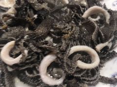 牛百叶-同城四季爆肚涮羊肉(安华里店)