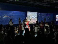 -重庆欢乐海底世界