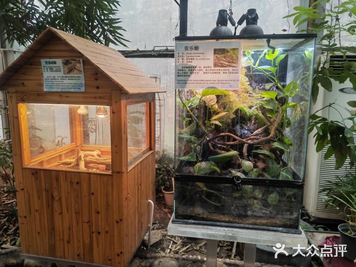 上海大自然野生昆虫馆景点图片