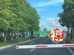 -春花秋色城市公园