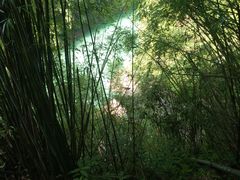 -阿依河景区