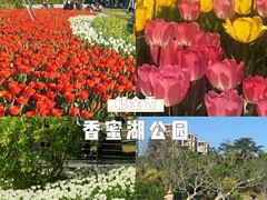 -香蜜公园